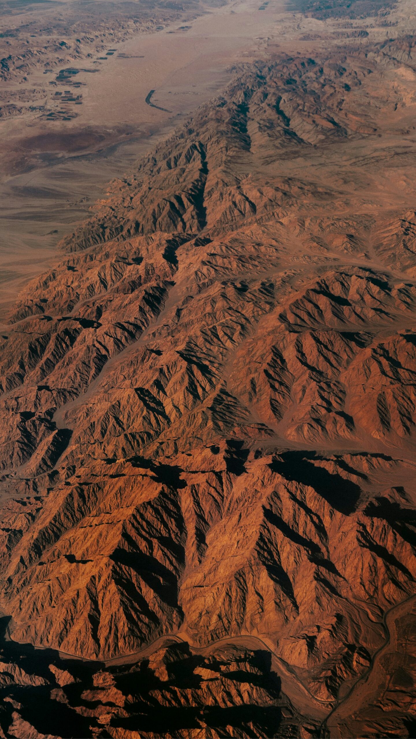leon-seierlein-wFQJ7hU7dYE-unsplash