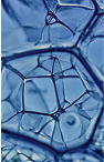 Hydrogen