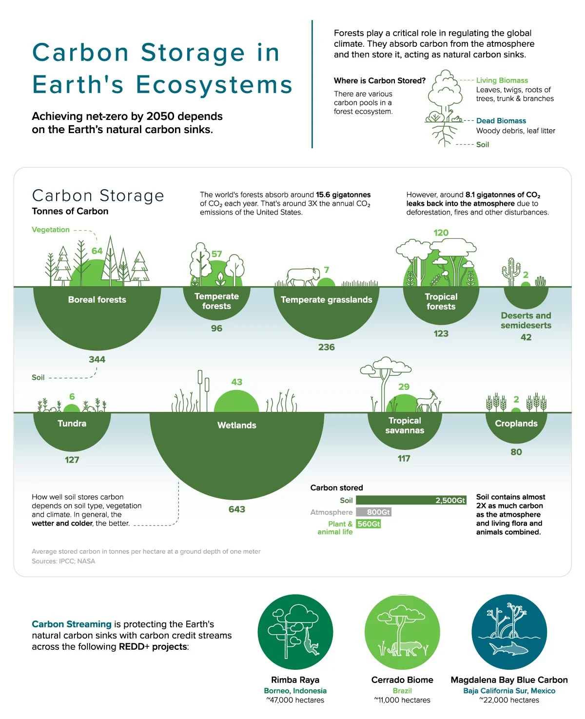 Infografía del almacenamiento de carbono en los ecosistemas de la Tierra