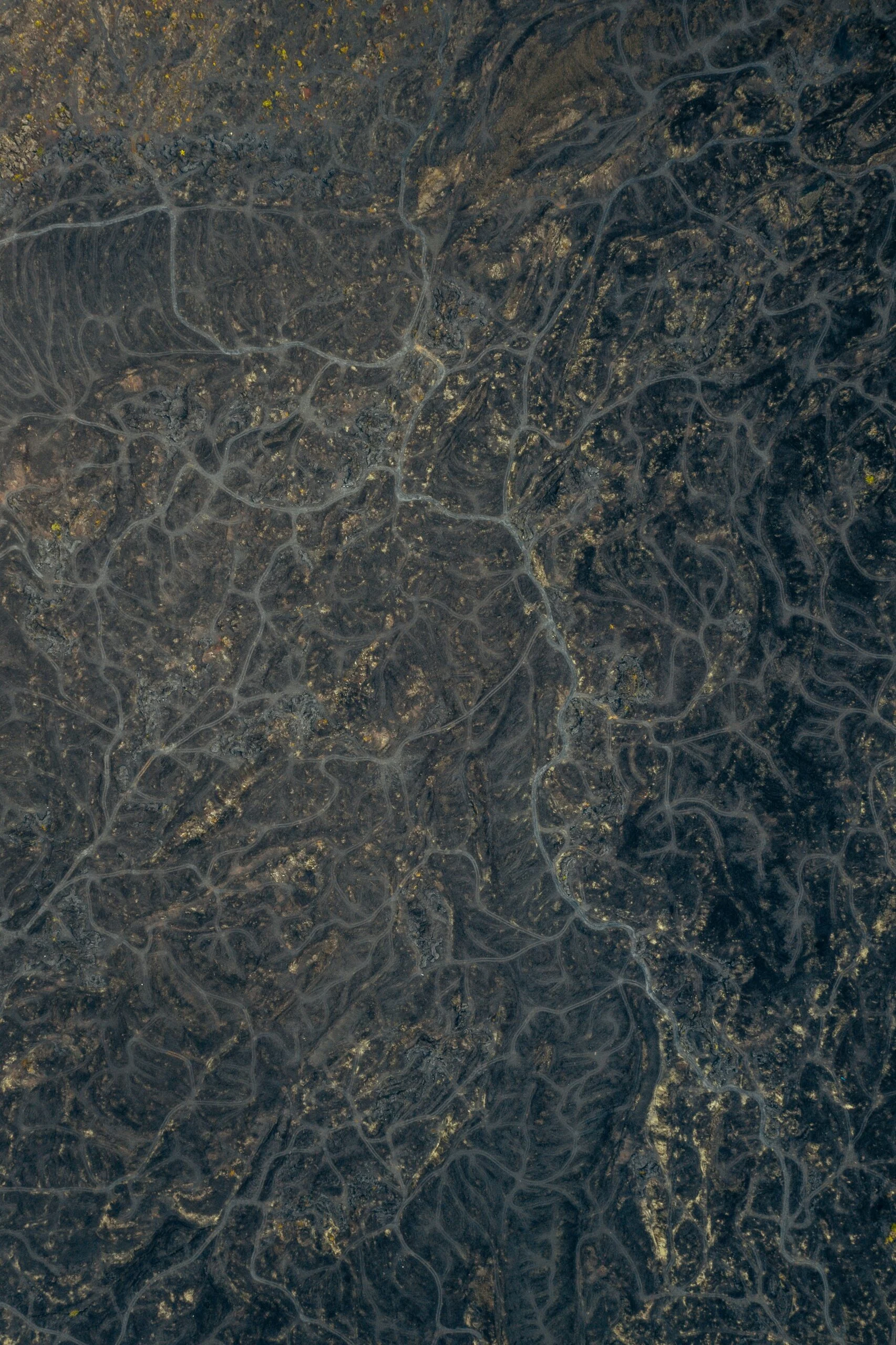 jaanus-jagomagi-N1pz4i2ZFlw-unsplash