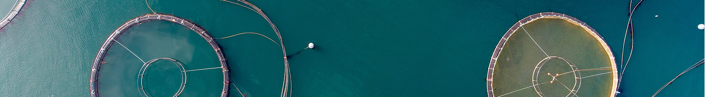 Vista cenital de instalaciones circulares en una superficie azul